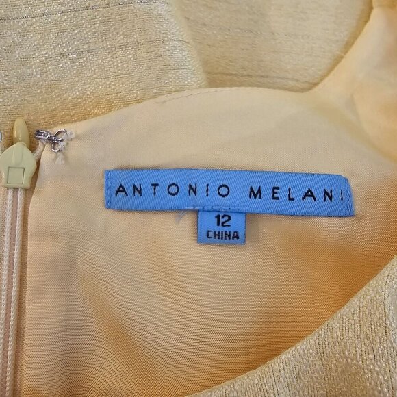 Antonio Melani Yellow and Silver Classic Sleeveless Dress with Belt, Size Medium - Picture 4 of 13